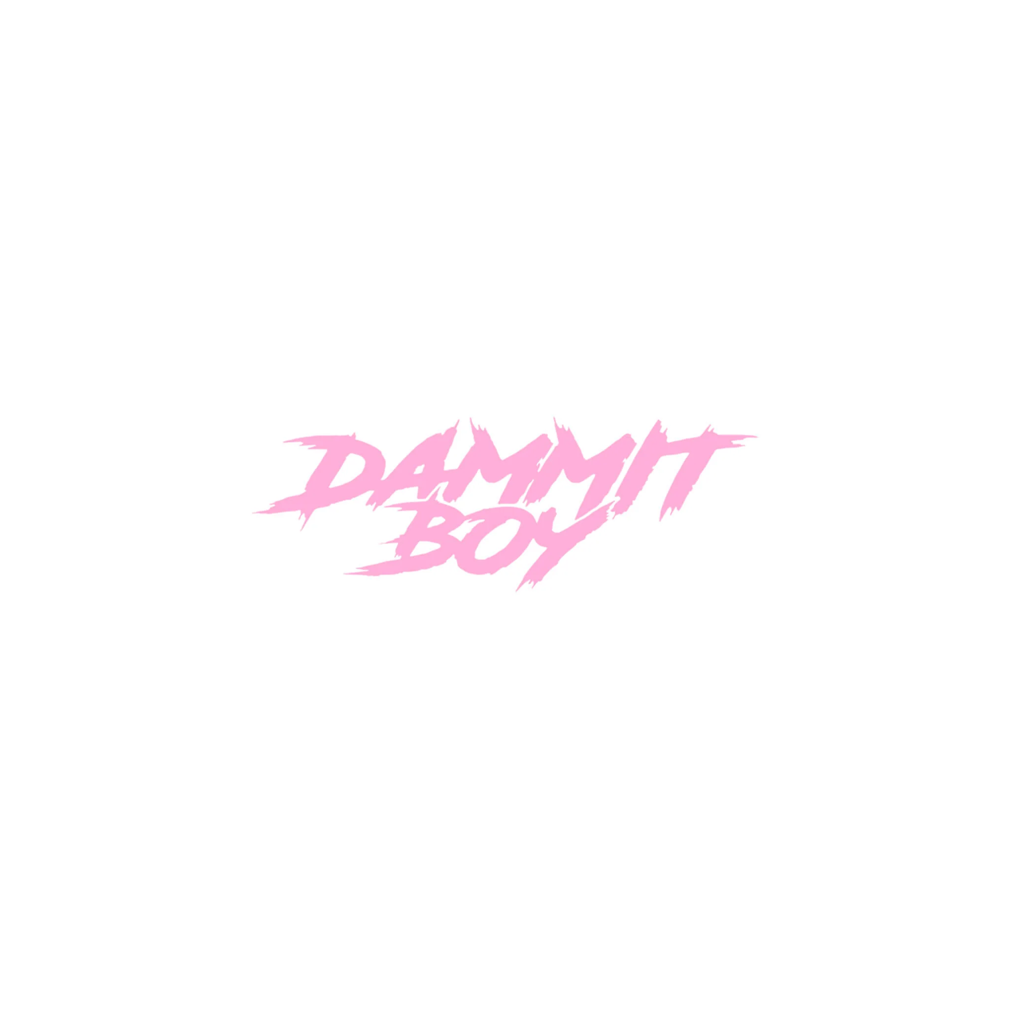 SMALL "DAMMIT BOY" DECAL - Image 14
