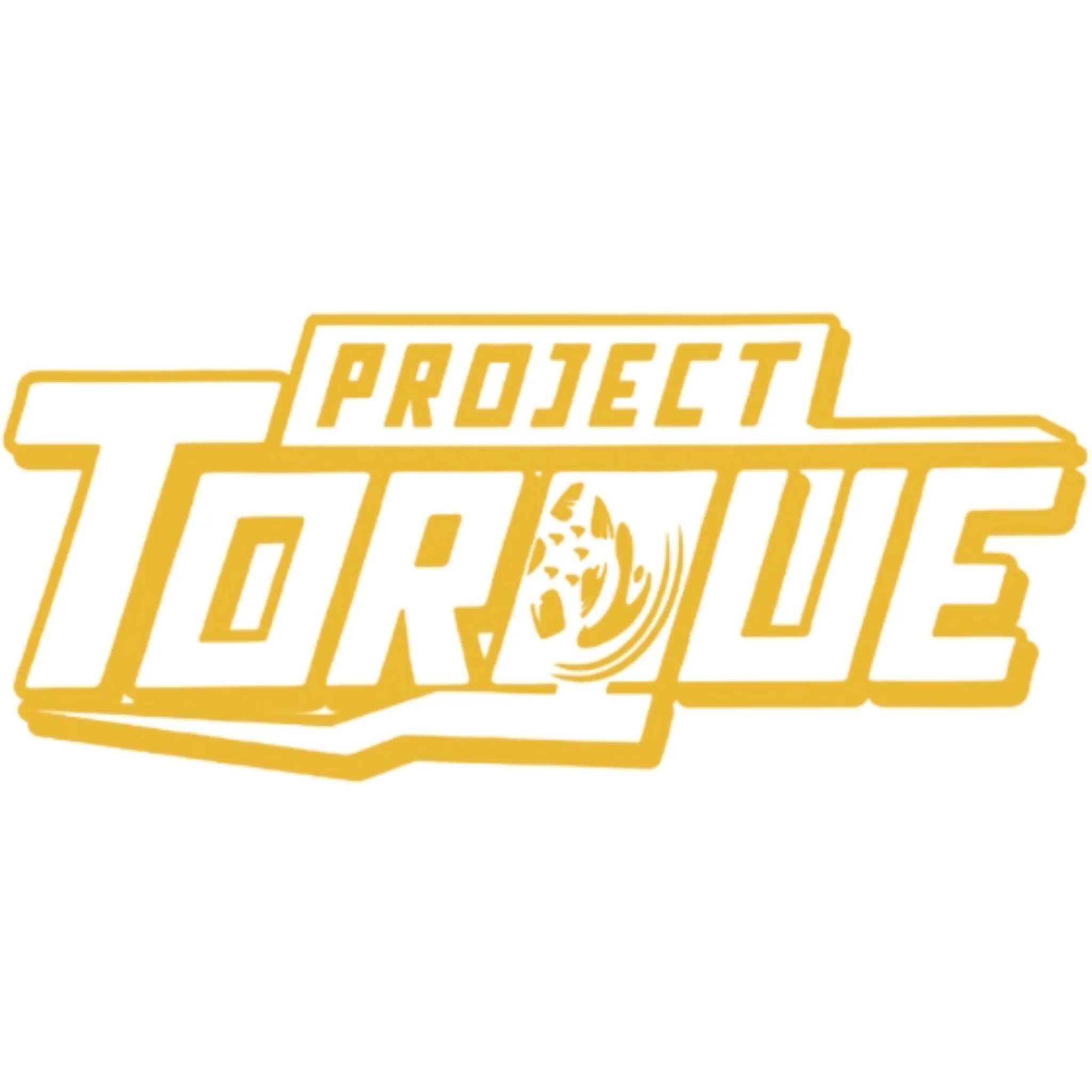 PROJECT TORQUE OUTLINE DECAL - Image 16