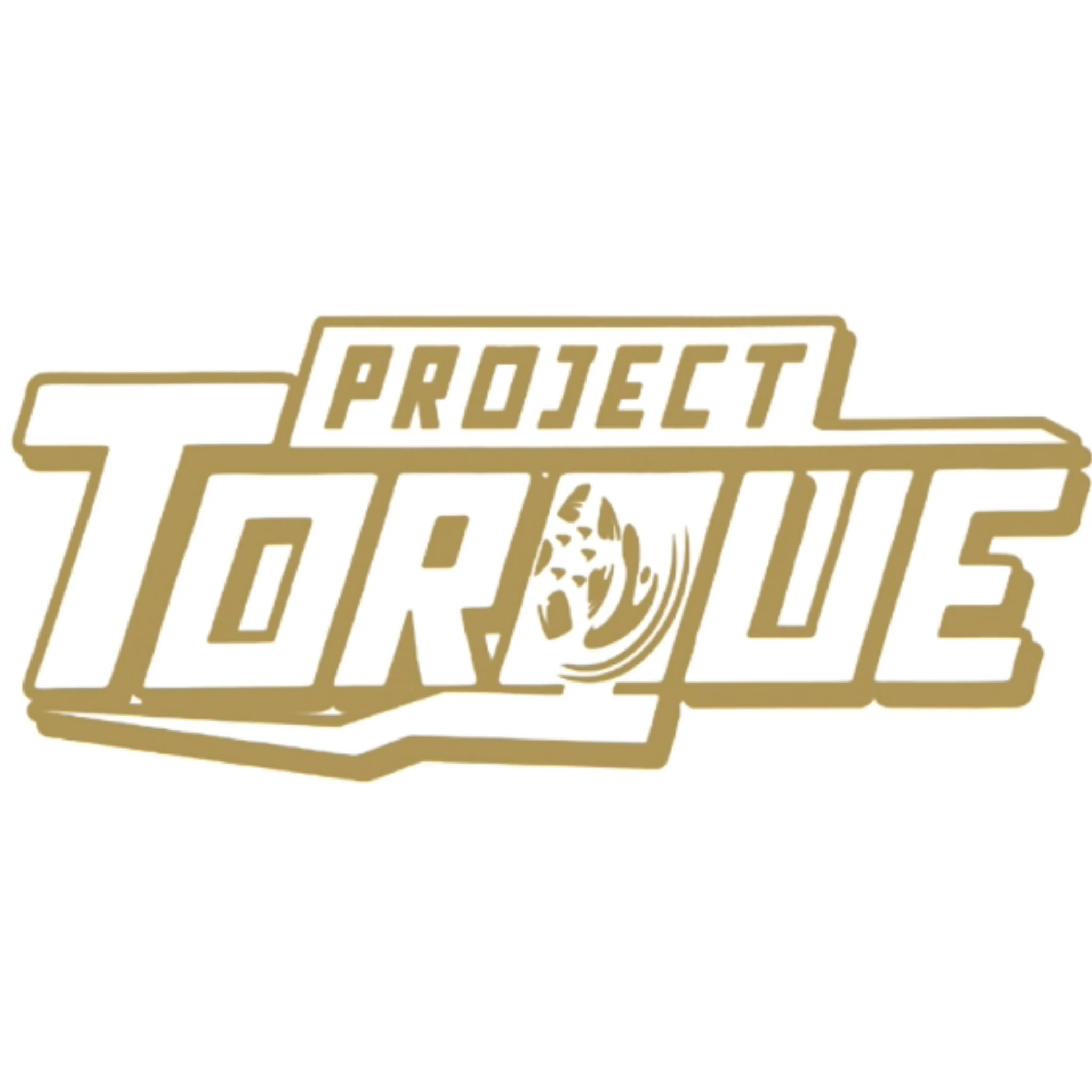 PROJECT TORQUE OUTLINE DECAL - Image 8